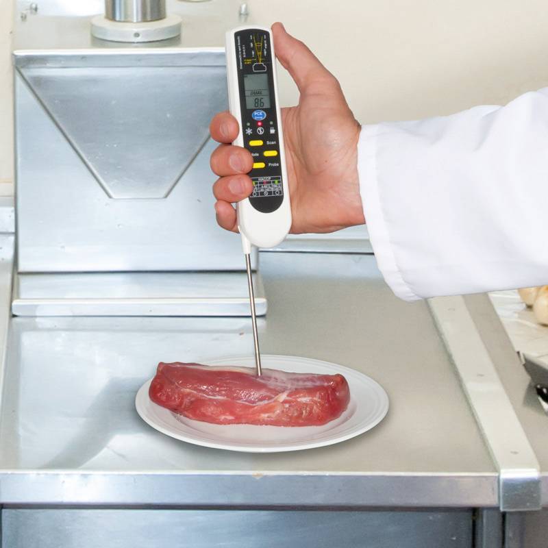 Eine Hand im weißen Kittel hält ein Thermometer, das in ein rohes Fleischstück auf einem Teller auf einem metallenen Tisch steckt.
