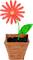 Kunstblume aus rotem und gelbem Plastilin mit grünem Stiel und Blatt in braunem, strukturiertem Blumentopf mit schwarzem Granulat.