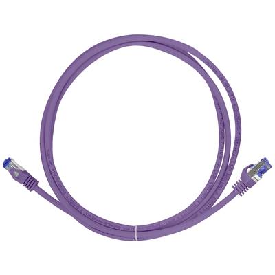 Lila Netzwerkkabel mit RJ45-Steckern. Verbunden für Internet- oder Netzwerkverbindungen. Einfache, praktische Lösung für Heim- und Büro-Netzwerke.