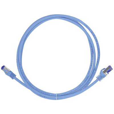 Ein blaues Ethernet-Kabel mit RJ45-Steckern an beiden Enden, das zur Netzwerkverbindung verwendet wird.