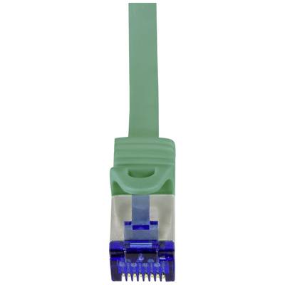 Ein grünes Ethernet-Kabel mit blauem Stecker, Nahaufnahme.
