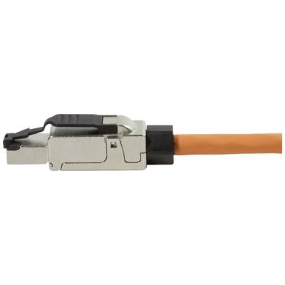 Ein orangefarbenes Ethernet-Kabel mit einem metallischen Stecker. Der Stecker hat einen schwarzen Clipmechanismus zur Verriegelung.