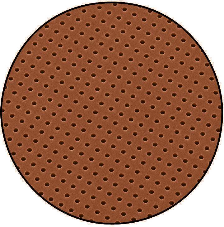 Ein ovaler, brauner Keks mit einem gleichmäßigen Muster aus kleinen Löchern verteilt auf der gesamten Oberfläche.