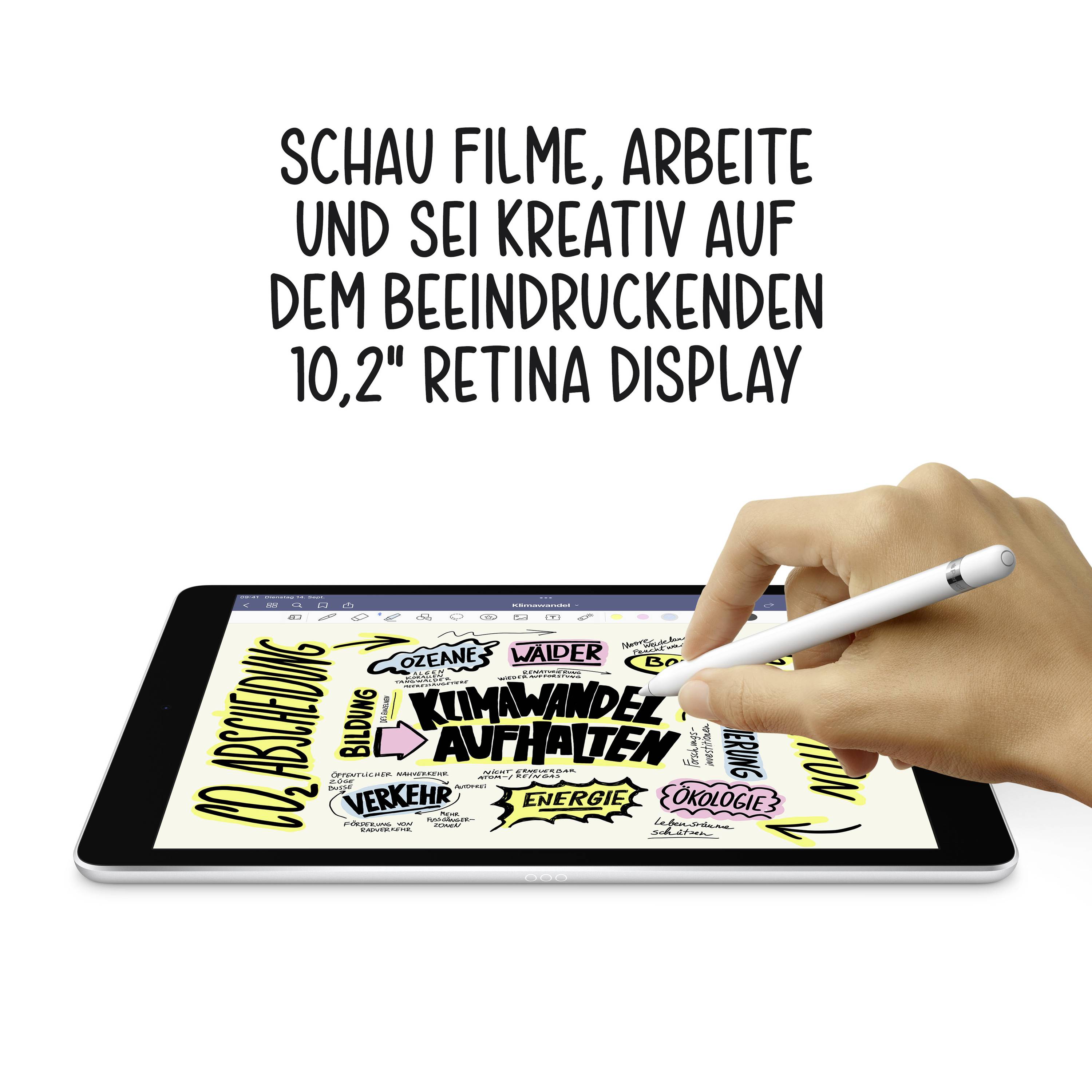 Apple iPad 10.2 (9. Generation, 2021) WiFi + Cellular 64 GB Space Grau 25.9 cm (10.2 Zoll) 2160 x 1620 Pixel-7