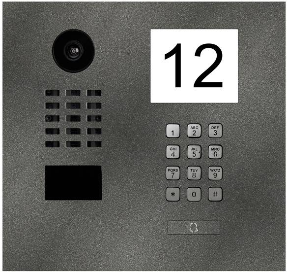 DoorBird D2101IKH IP-Video-Türsprechanlage LAN Außeneinheit Edelstahl, Eisenglimmer (seidenmatt)