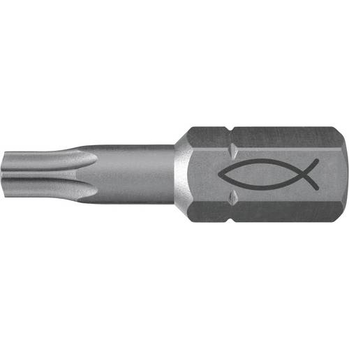 Fischer FPB T 25 PROFI Bit W 10 557848 Bit-Set 10teilig