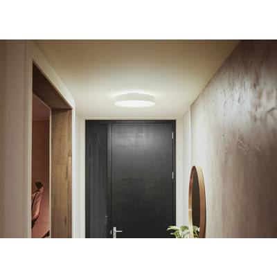 Flur mit weißem Deckenlicht, schwarzer Tür und rundem Spiegel an der Wand. Eine Pflanze steht links unten im Bild.