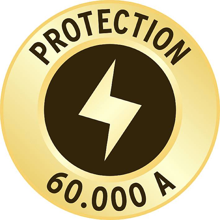 Abzeichen mit goldener Umrandung und Blitzsymbol, Text 'Protection 60.000 A', symbolisiert hohen Stromschutz.