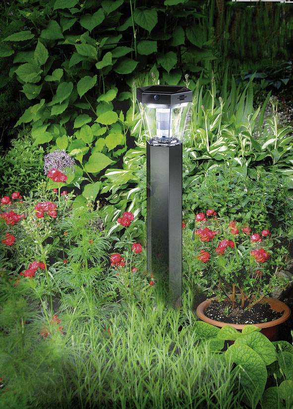 Eine Solarlampe erleuchtet einen bunten Garten mit roten Rosen, grünen Blättern und einer Topfpflanze. Entspannte Abendstimmung.