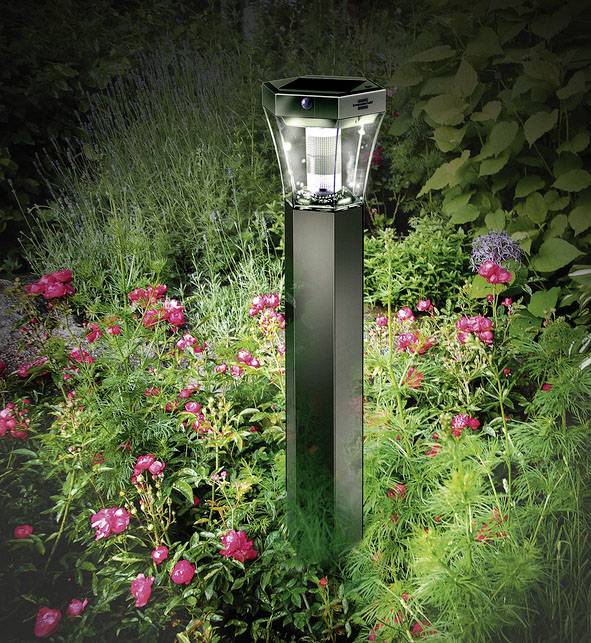 Eine beleuchtete moderne Gartenlampe steht inmitten bunter Blumen und grünem Laub, strahlt Licht auf die umliegende Natur.