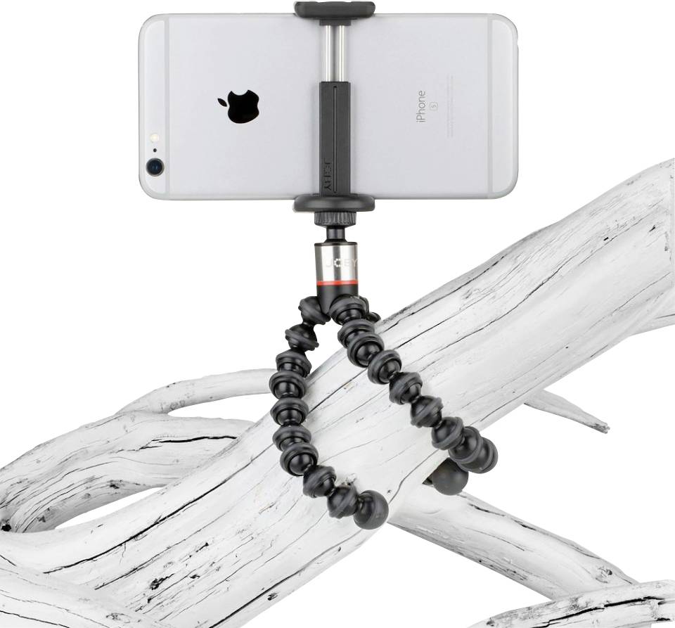 Ein Smartphone in einer Halterung ist an einem flexiblen Stativarm befestigt, der um einen Ast gewickelt ist.