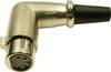 Cliff FC60955N XLR-Steckverbinder Polzahl: 5 Gold, Schwarz 1 St.