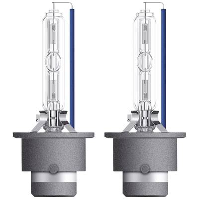 Zwei identische Halogenlampen mit ovalem Glasgehäuse und blauer Rückseite. Sie stehen nebeneinander aufrecht.