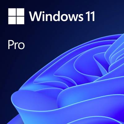 Microsoft Windows 11 Pro französische Version Vollversion, 1 Lizenz  Betriebssystem