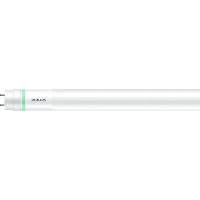 Leuchtstoffröhre von Philips, weiß mit grünem Streifen, erkennbar an den seitlichen Kontakten.