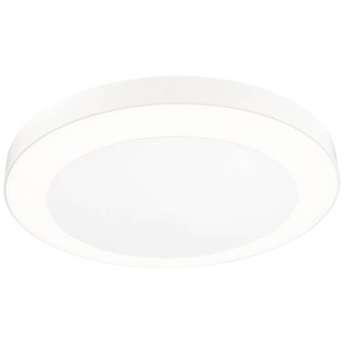 Paulmann Circula 94528 LED-Außenwandleuchte mit Bewegungsmelder 14 W Beige