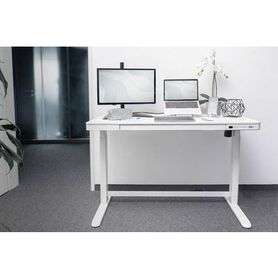 Ein moderner Stehschreibtisch mit Laptop, zwei Monitoren, Tastatur und Dekorationen wie eine Pflanze in einem Büro.