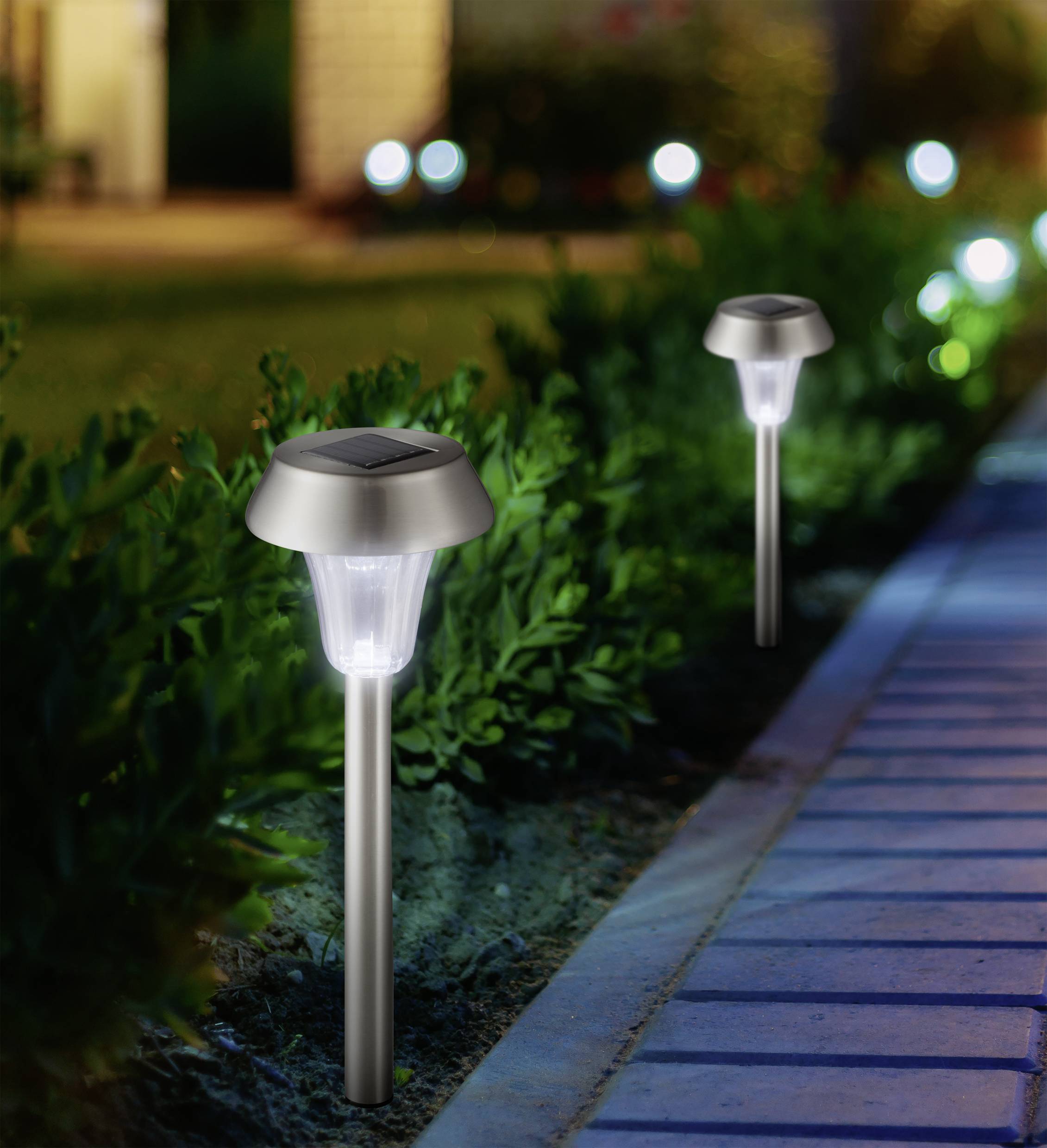 Zwei Solarleuchten beleuchten einen gepflasterten Weg durch einen Garten. Pflanzen sind deutlich sichtbar neben dem Weg.