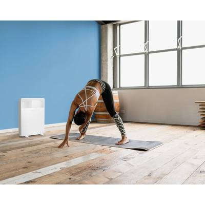 Person macht Yoga in einem Raum mit Holzboden, großer Fensterfront und blauem Akzent an der Wand; Luftentfeuchter steht links.