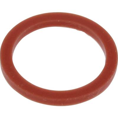 Ein roter O-Ring aus Gummi, rund in der Form, liegt flach auf einer weißen Oberfläche.