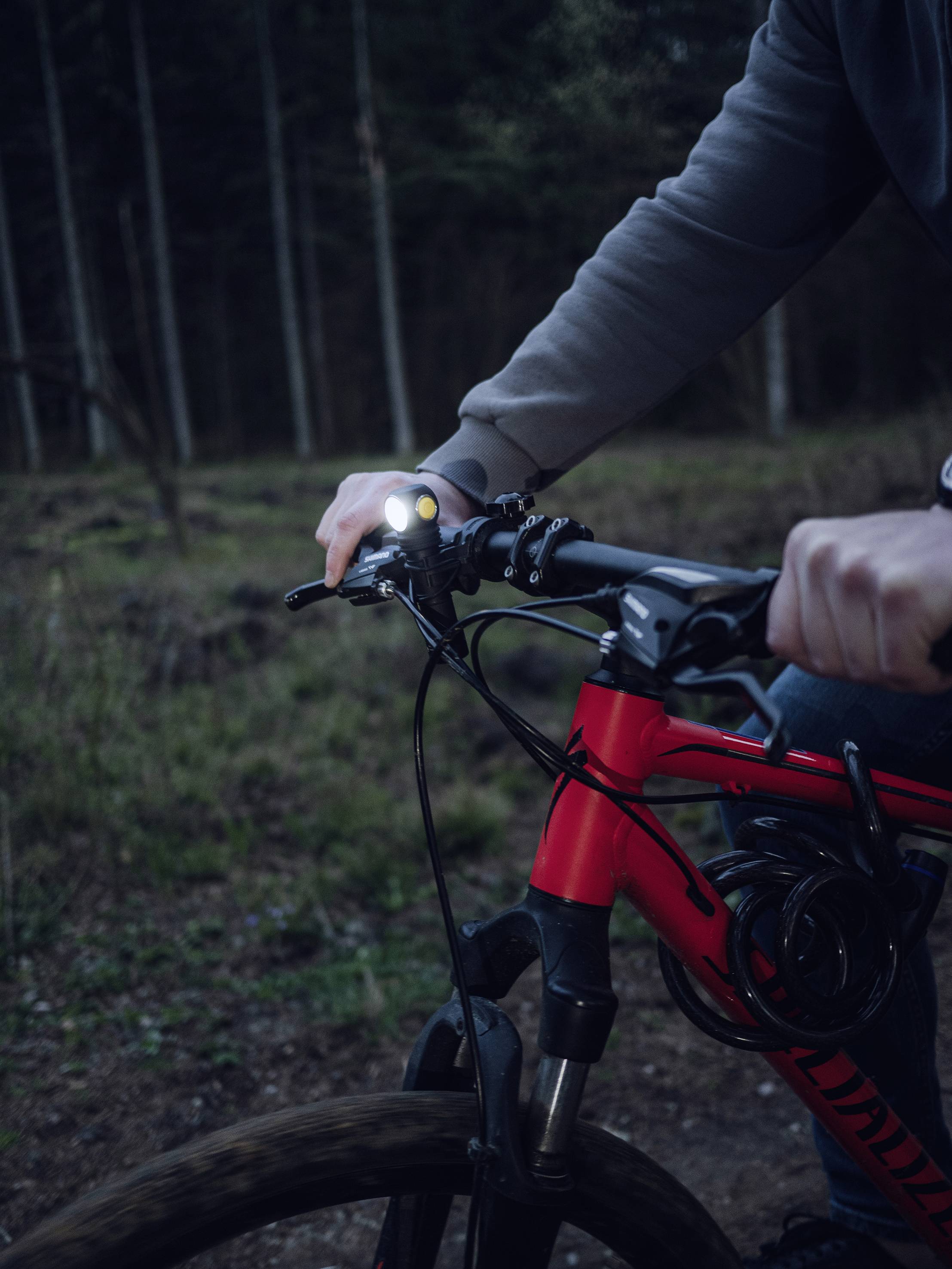 Eine Person fährt mit einem roten Fahrrad durch einen Waldweg bei Dämmerung, das Fahrradlicht leuchtet den Weg vorwärts.