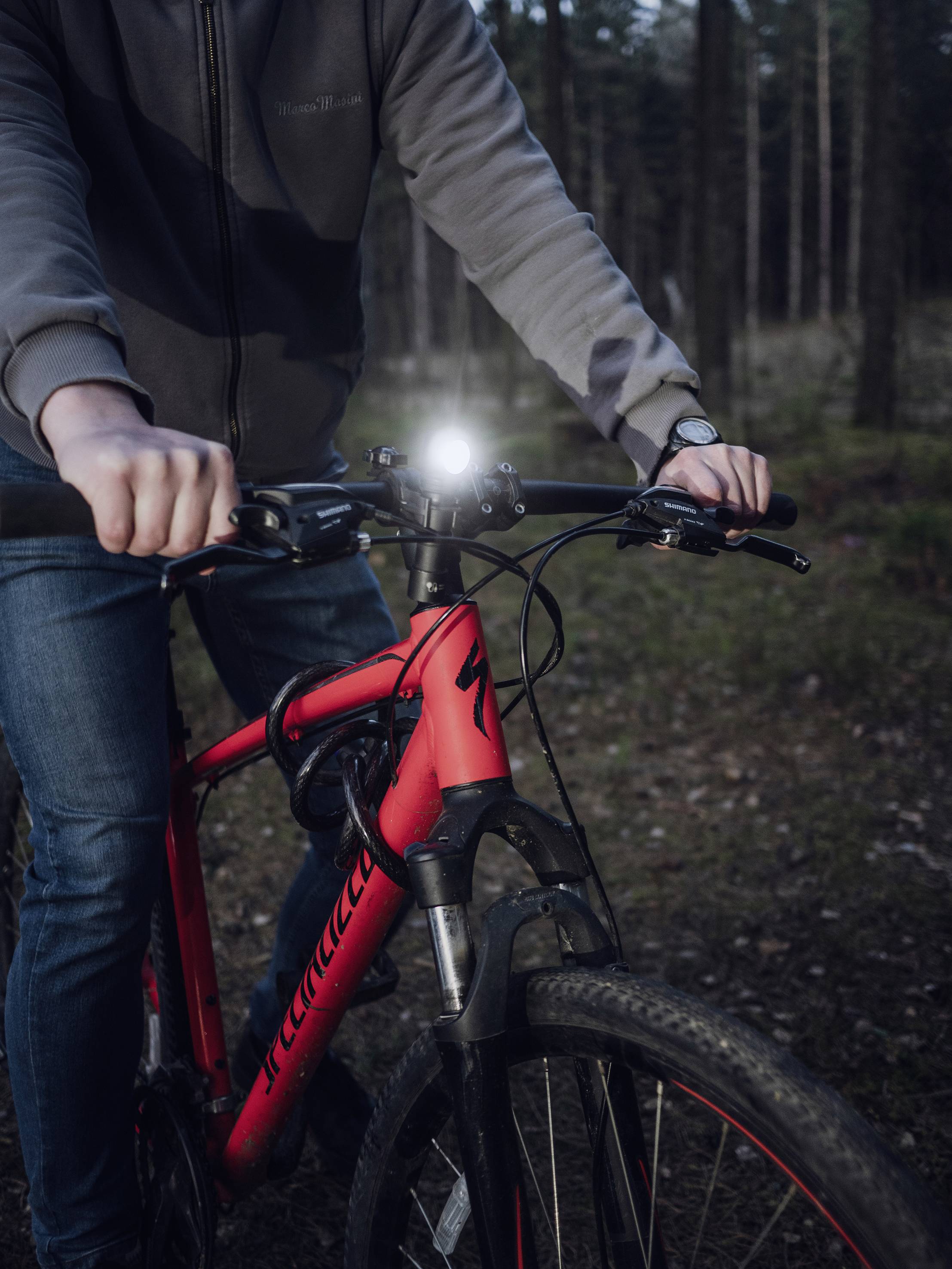 Eine Person in einer grauen Jacke fährt in einem Wald auf einem roten Fahrrad mit eingeschaltetem Scheinwerfer.