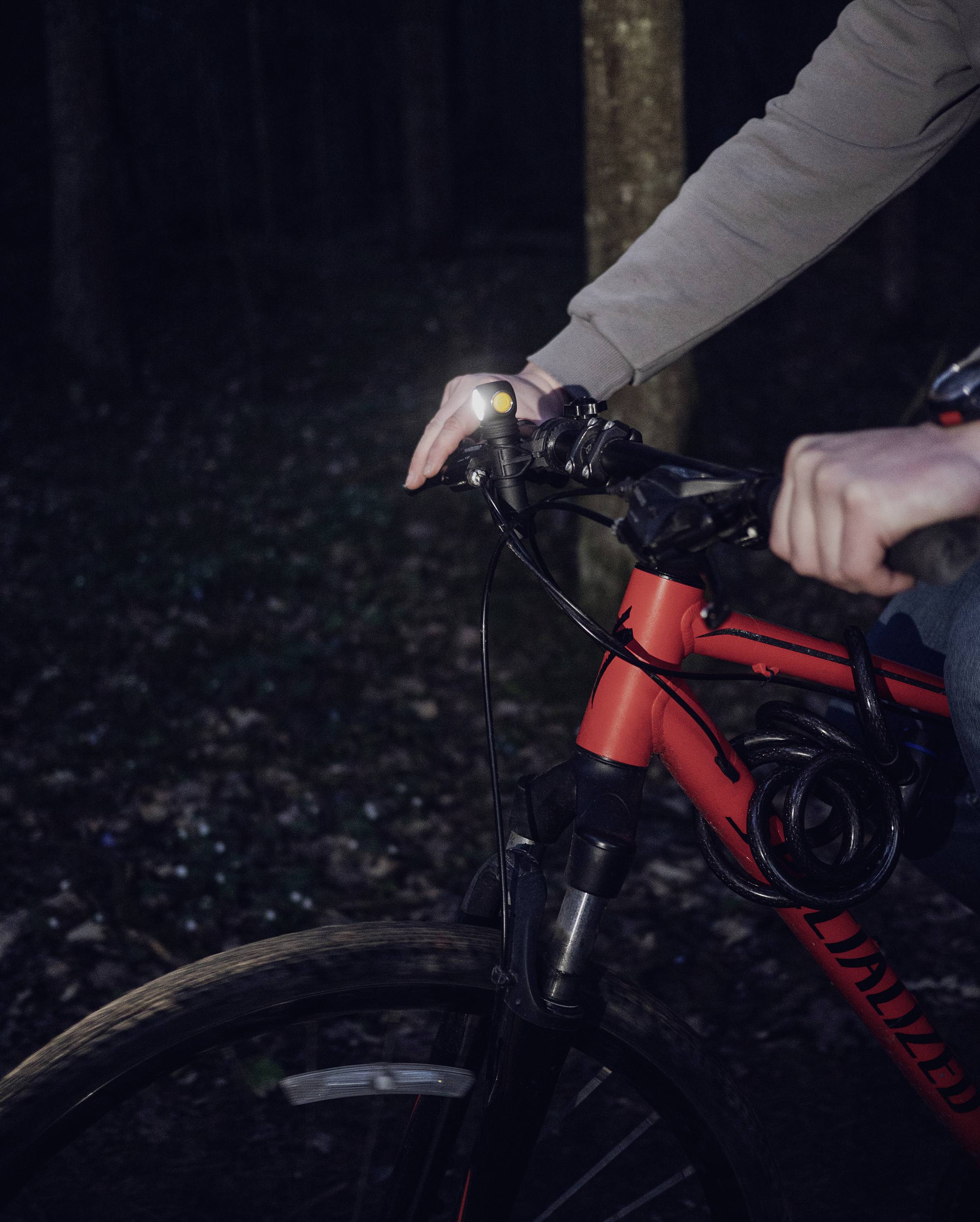 Eine Person fährt ein rotes Fahrrad bei Nacht im Wald. Die Fahrradlampe leuchtet den Weg aus.