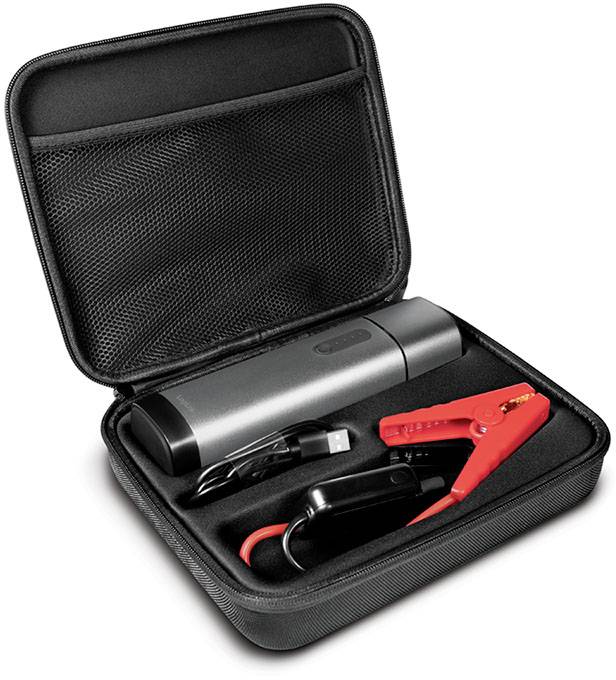 LogiLink PA0266 - 10000 mAh - Lithium Polymer (LiPo) - 10 W - Metallisch - Power-5