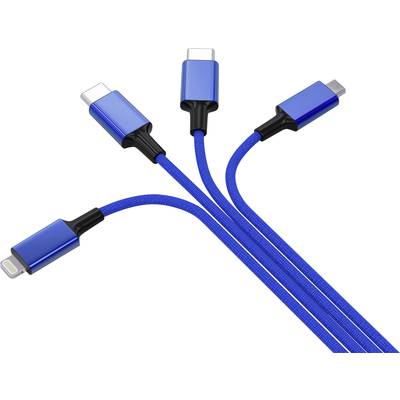 Vier blaue USB-Kabel mit unterschiedlichen Anschlüssen sind miteinander verknüpft, zeigen verschiedene Anschlussmöglichkeiten.