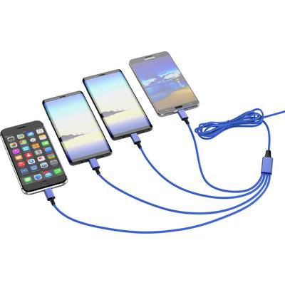 'Vier Smartphones' laden gleichzeitig mithilfe eines blauen USB-Multi-Ladekabels. Geräte zeigen unterschiedliche Bildschirme.