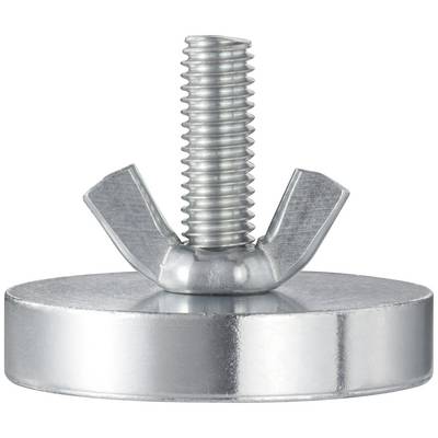 Metallschraube mit Flügelmutter auf einer runden, flachen Unterlegscheibe.