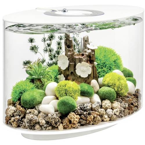 OASE biOrb 86414 biOrb LOOP 15 LED weiß Aquarium EEK: G (A - G) 15 l mit LED-Beleuchtung