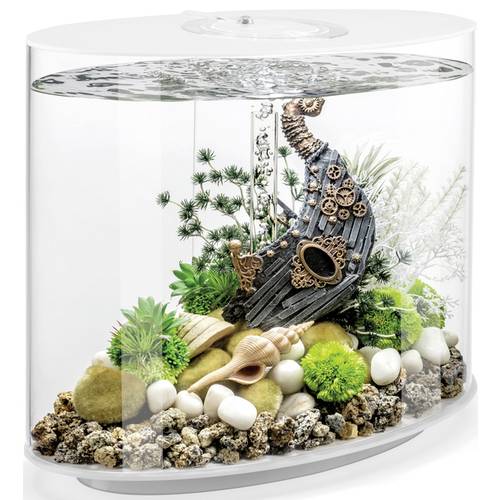OASE biOrb 86415 biOrb LOOP 30 LED weiß Aquarium EEK: G (A - G) 30 l mit LED-Beleuchtung