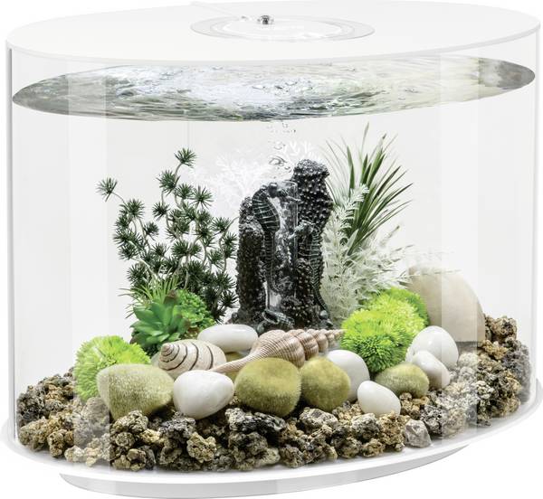 OASE biOrb 86415 biOrb LOOP 30 LED weiß Aquarium EEK: G (A - G)  30 l mit LED-Beleuchtung