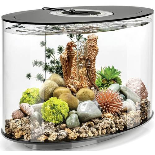 OASE biOrb 86425 biOrb LOOP 15 LED schwarz Aquarium EEK: G (A - G) 15 l mit LED-Beleuchtung