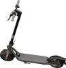 Segway Ninebot F20D E-Scooter Grau Li-Ion 36 V 5.1 Ah Straßenzulassung: Deutschland