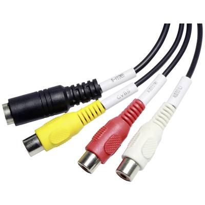 Vier RCA-Stecker in den Farben Schwarz, Gelb, Rot und Weiß. Sie sind für Audio- und Videoverbindungen vorgesehen.