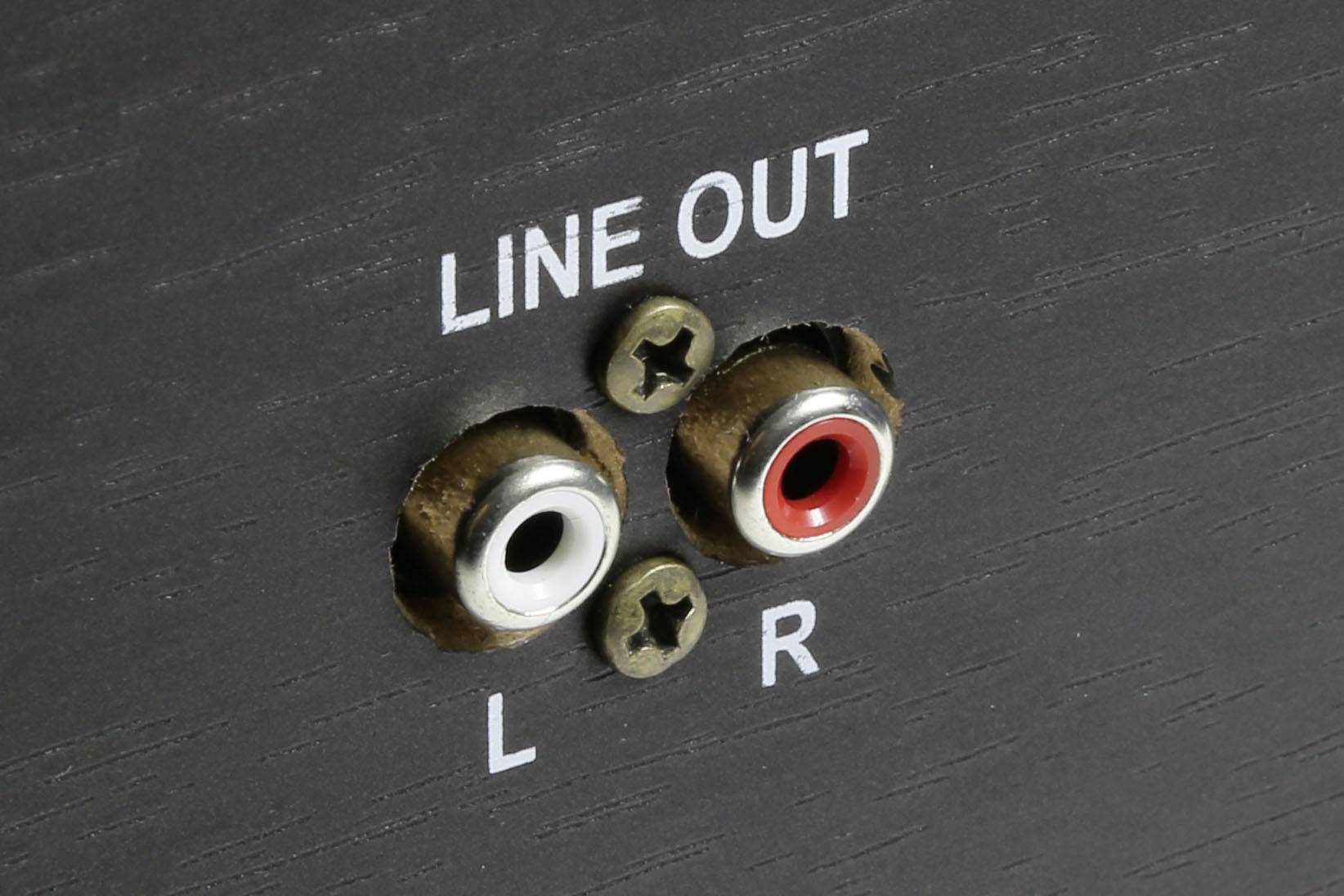 Schwarze Audiogeräterückseite mit zwei Cinch-Ausgängen für 'Line Out', markiert mit 'L' für links (weiß) und 'R' für rechts (rot).