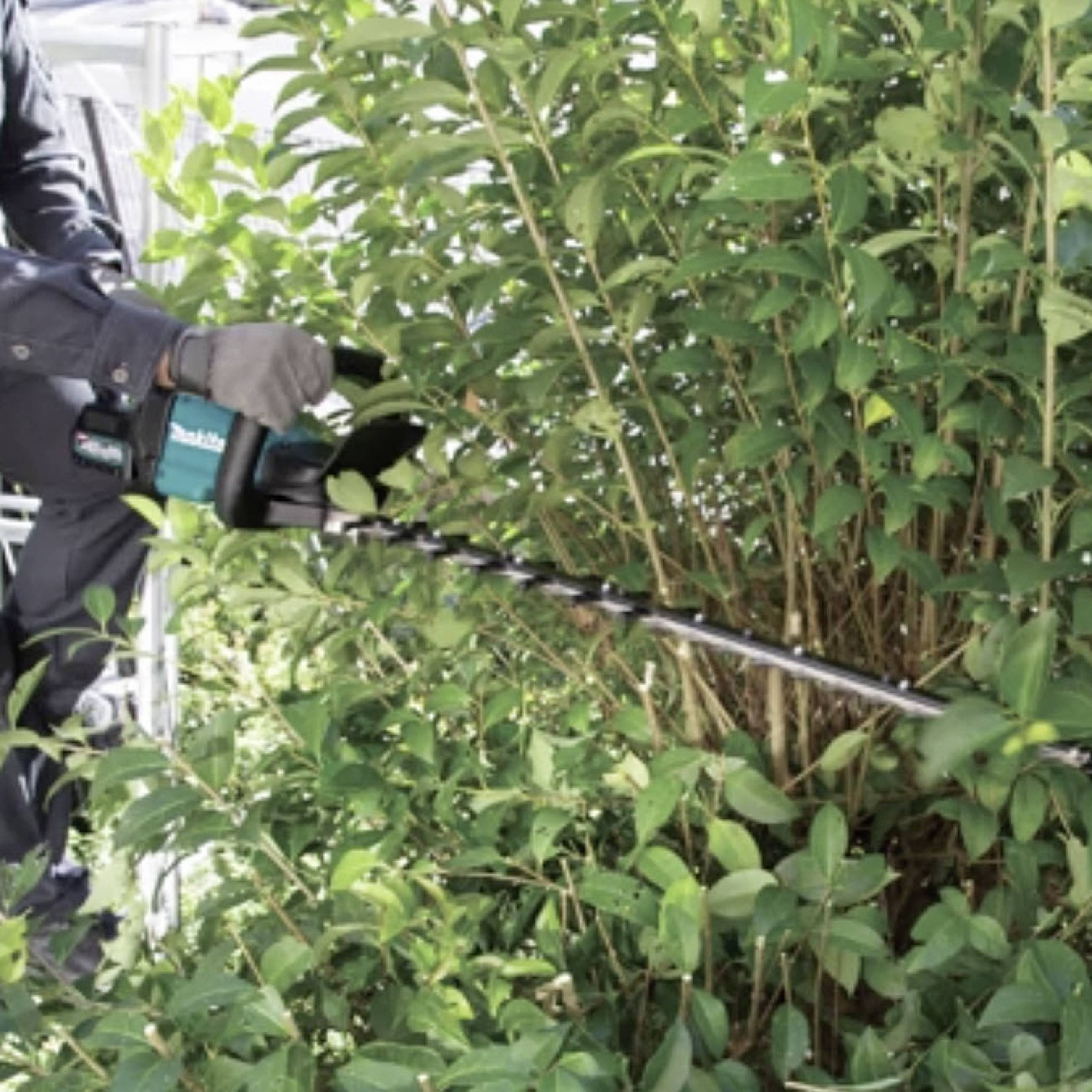 Person schneidet Büsche mit einer elektrischen Heckenschere in einem Gartenumfeld.