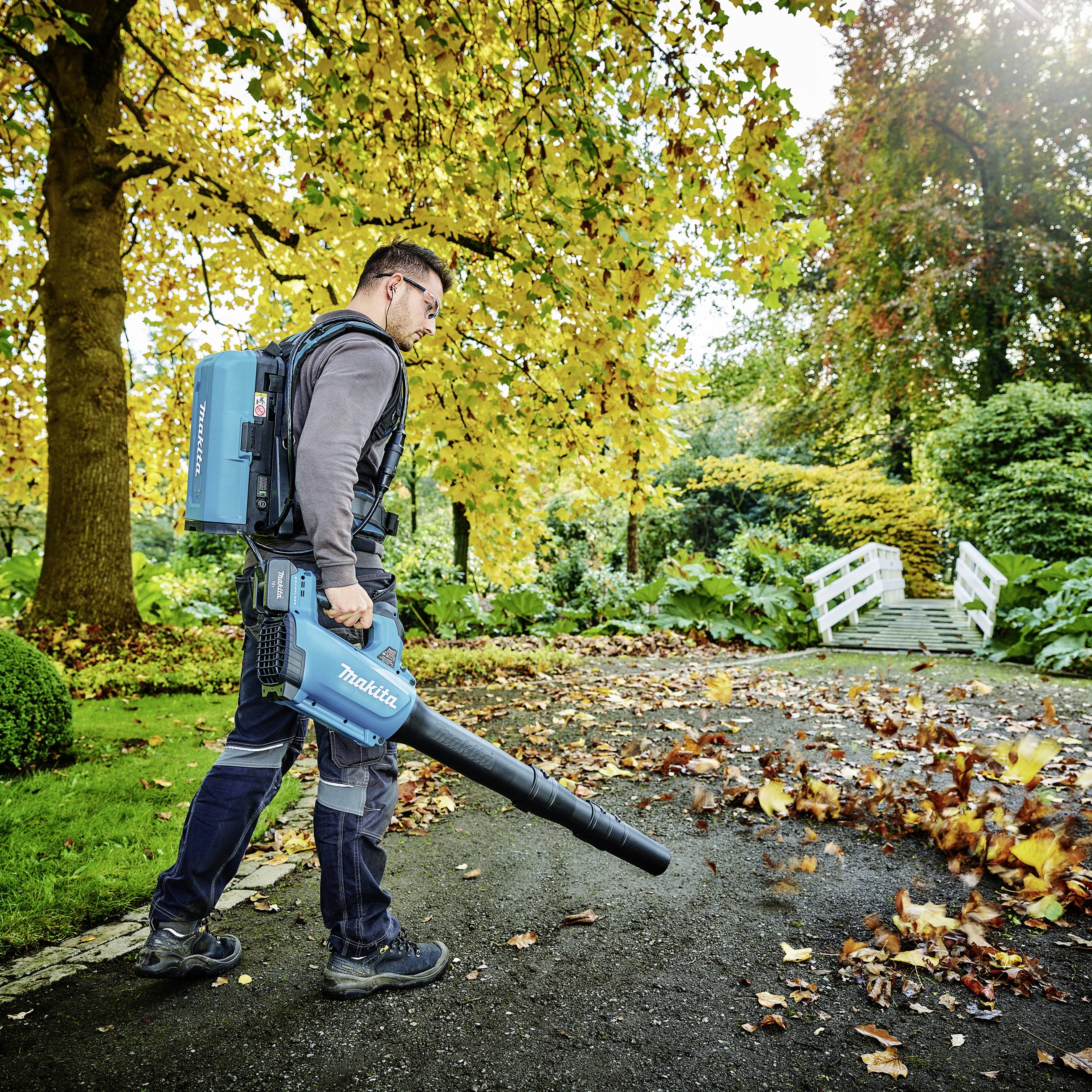 Person im Garten bläst Laub mit einem blauen Laubbläser von einem Weg. Es ist Herbst, und die Bäume haben gelbes Laub.