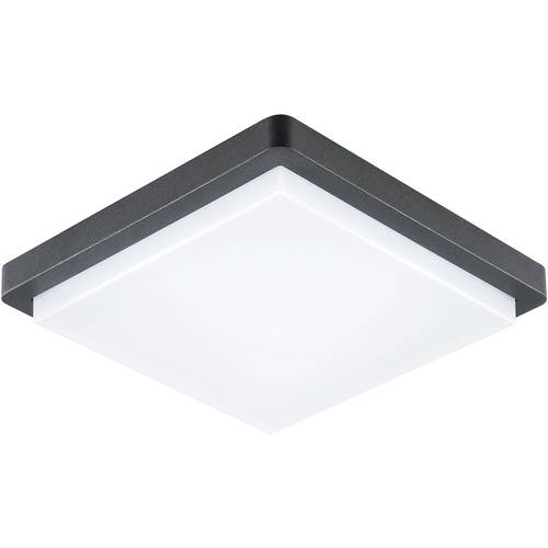 EVN DAQH54141502 EVN Lichttechnik LED-Deckenleuchte 14 W Anthrazit