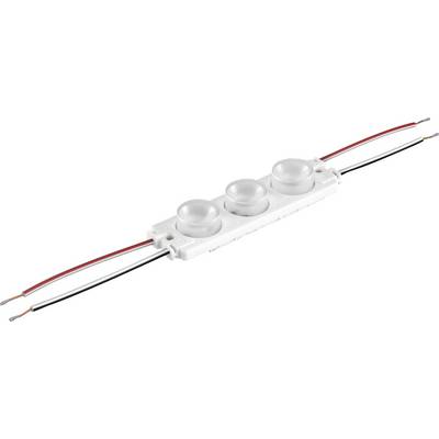 Rotes Ethernet-Kabel mit RJ45-Steckern an beiden Enden, aufgerollt auf weißem Hintergrund.