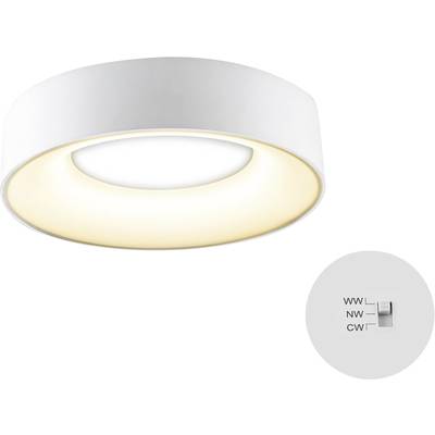 EVN R30180125 EVN Lichttechnik LED-Deckenleuchte    18 W Weiß