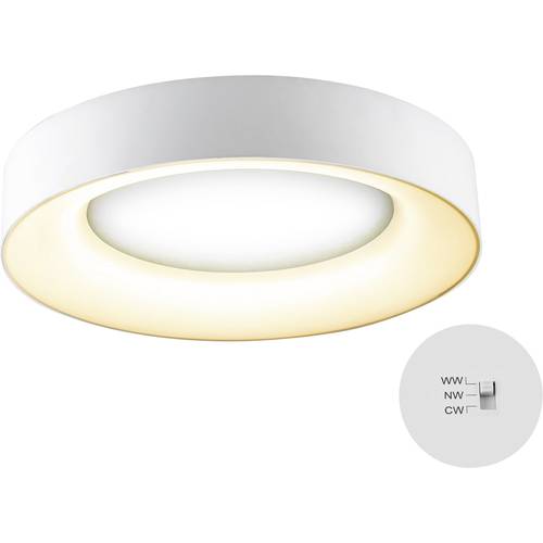 EVN R40250125 EVN Lichttechnik LED-Deckenleuchte 25 W Weiß