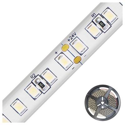 Weiße LED-Streifenleuchten-Rolle mit Schnittmarkierungen und 24V-Beschriftungen, diagonal angezeigt mit einer kleinen LED-Spule in der Ecke.