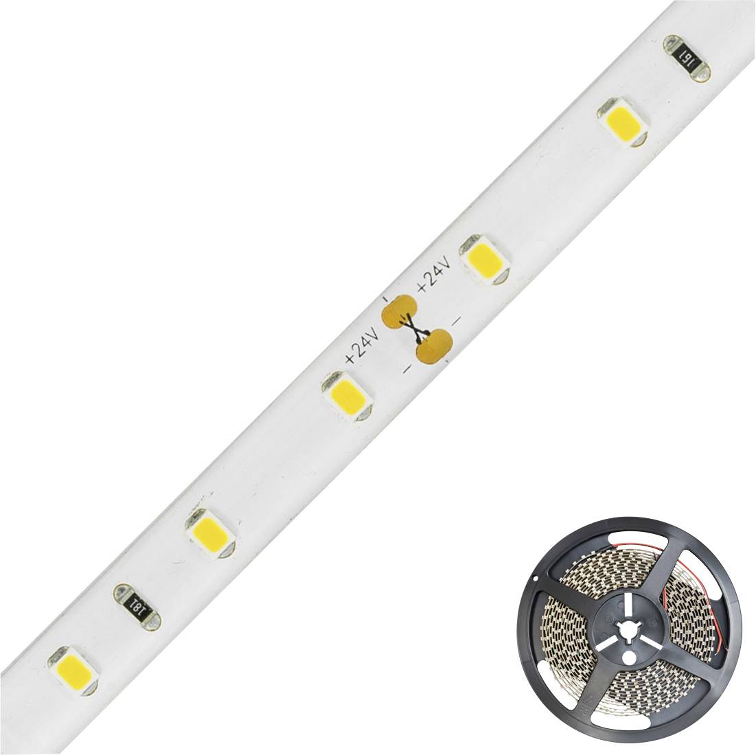 Nahaufnahme einer flexiblen LED-Lichtleiste; zeigt einzelne LEDs auf weißem Band. Unten rechts Rolle mit aufgewundener LED-Leiste.