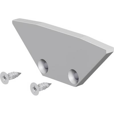 Eine metallische keilförmige Halterung mit zwei Montagelöchern, dargestellt mit zwei Schrauben zur Installation.