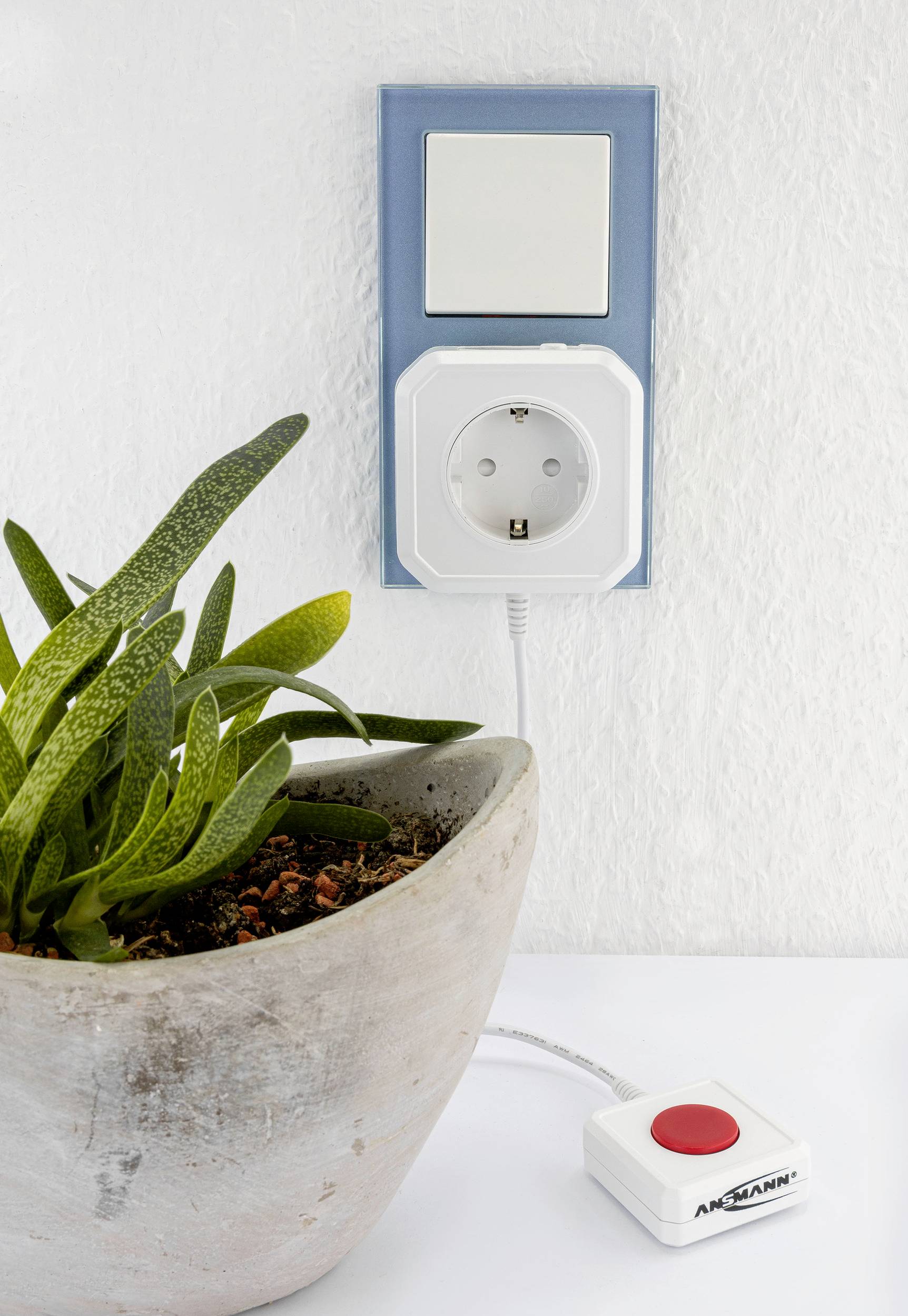 Ein Blumentopf steht neben einer Steckdose. In die Steckdose ist ein weißer Adapter mit einer roten Taste eingesteckt.