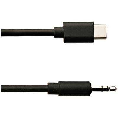 Ein USB-C-zu-3,5-mm-Klinkenstecker-Audiokabel. Oben ist der USB-C-Stecker, unten der Klinkenstecker.