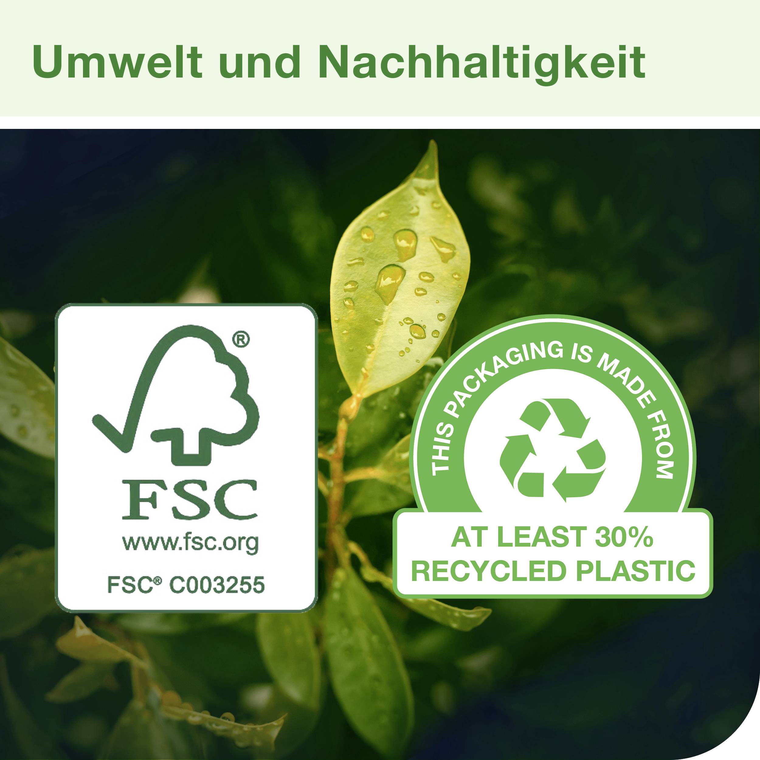 'Umwelt und Nachhaltigkeit' steht oben. Darunter FSC-Logo mit Website und Zertifikatnummer. Rechts Logo: Verpackung aus mindestens 30% recyceltem Plastik. Im Hintergrund: grüne Blätter.